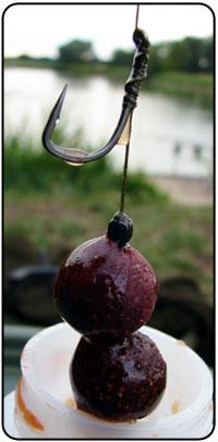 dip si boilies - oyster2.jpg